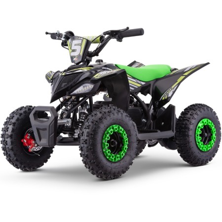 Mini quad eléctrico Roan Ratte 800W 36V