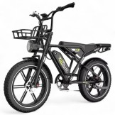 Bicicleta eléctrica KOOLUX X9 250W 48V 15,6Ah 20"