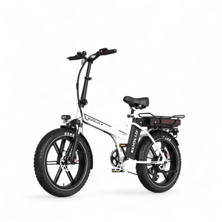 Bicicleta Eléctrica KOOLUX X11 250W Doble Batería 48V 11,7Ah 2