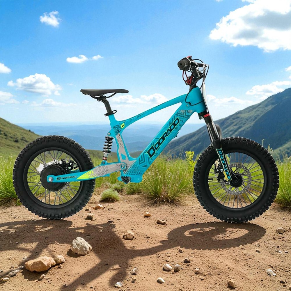 bicicleta eléctrica Dorado DX16 350W