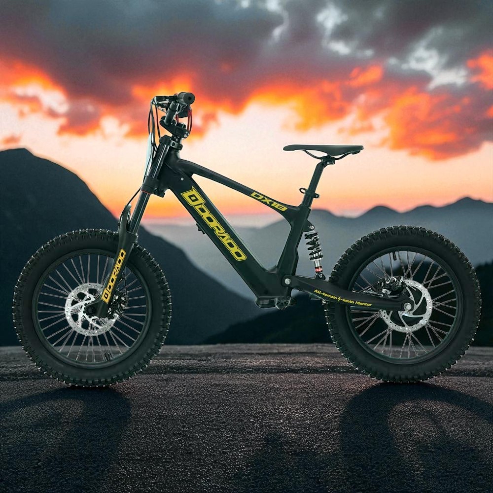 Bicicleta eléctrica Dorado DX18 500W 18