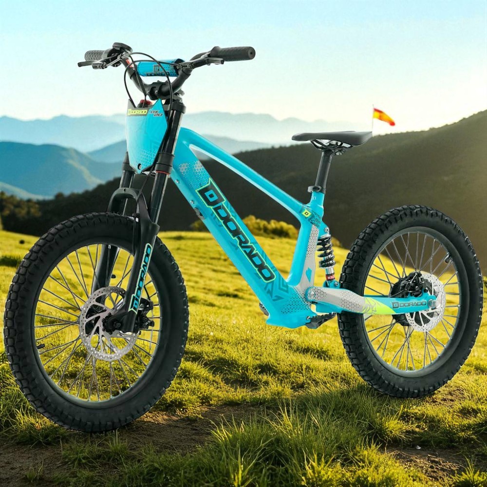 Bicicleta eléctrica Dorado DX20 750W 20
